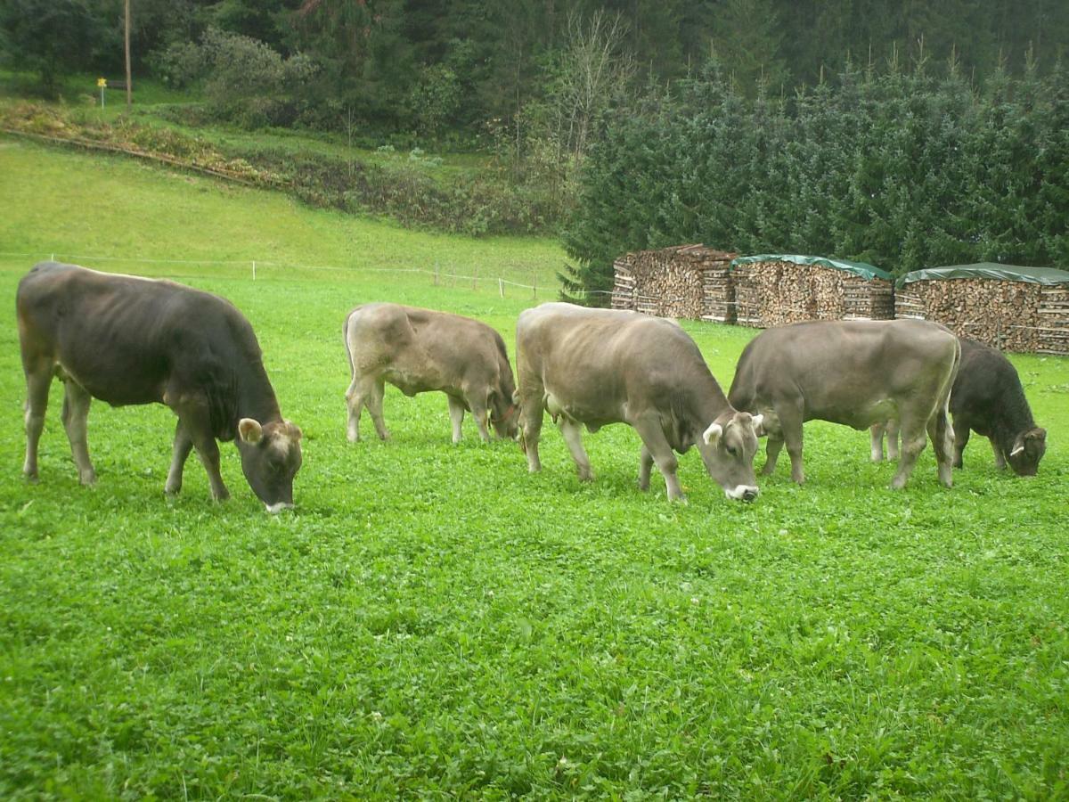 Nieslerhof Villa Mayrhofen Luaran gambar