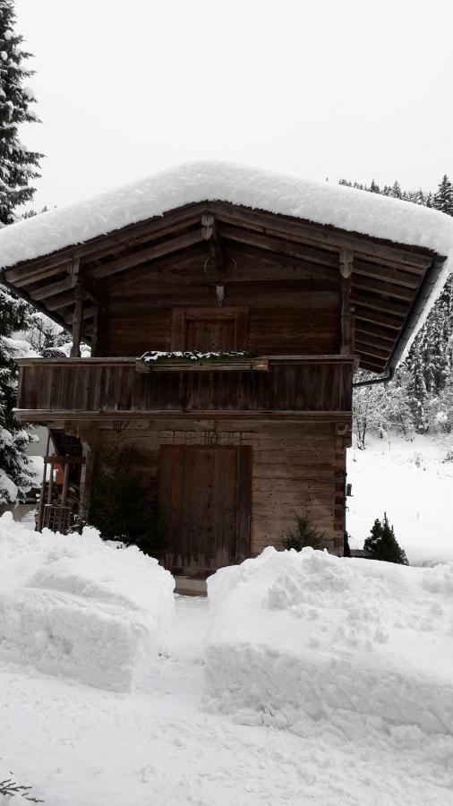 Nieslerhof Villa Mayrhofen Luaran gambar